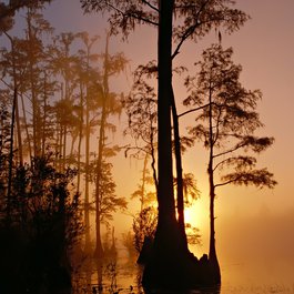 Sunset, Florida Photo #5 by 12019 from pixabay