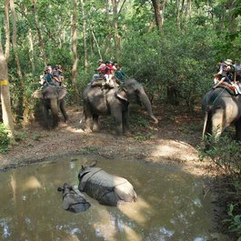 Chitwan National Park, Nepal Photo #1 by JessicaBlueElephants from pixabay