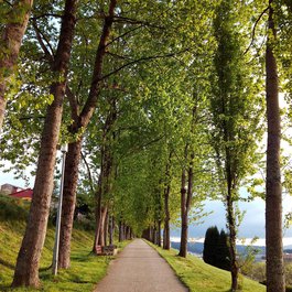 Galicia, Santiago Photo #4 by gblanco from pixabay