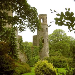 Blarney Castle, Cork Photo #4 by Ddave45 from pixabay