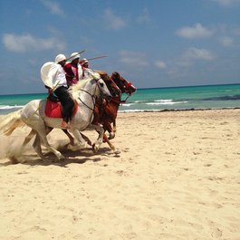 Djerba, Tunisia Photo #9 by SteCatLliure from pixabay