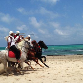 Djerba, Tunisia Photo #7 by SteCatLliure from pixabay