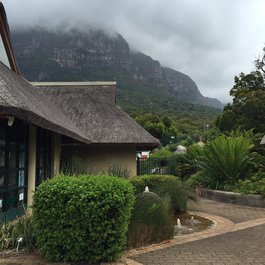 Kirstenbosch National Botanical Garden, Cape Town Photo #5 by lilanidn from pixabay